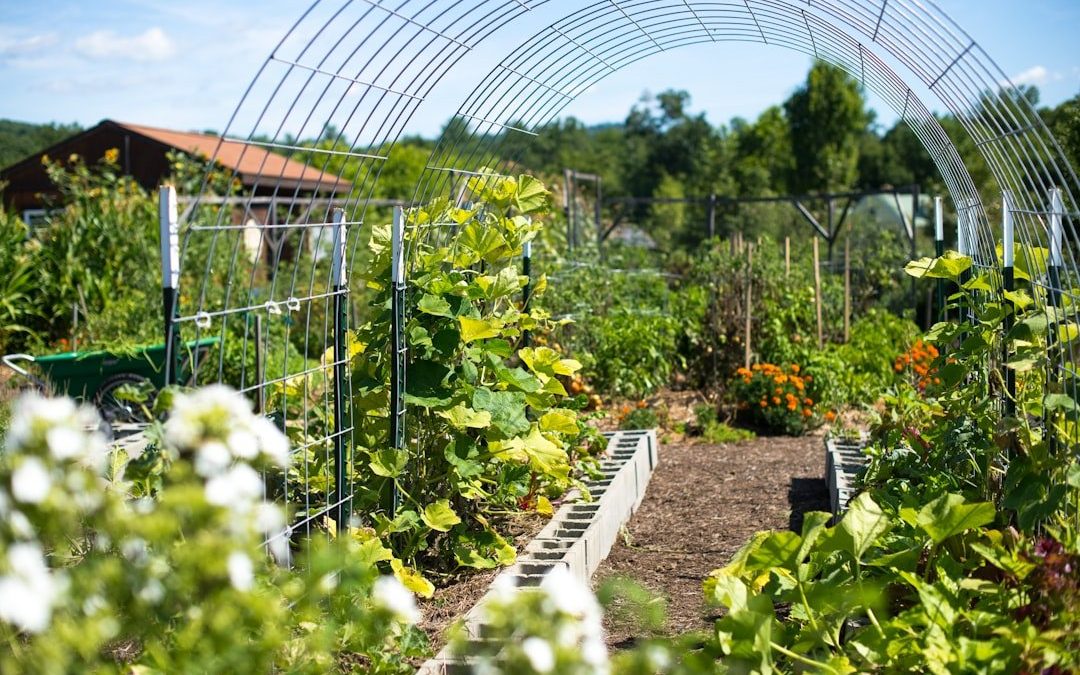 Як захистити сад від хвороб: поради для органічного садівництва