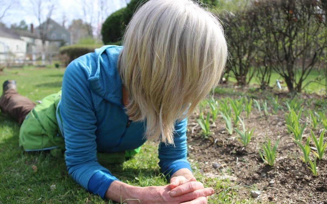 Як Підготувати Грунт Для Весняної Посадки Овочів