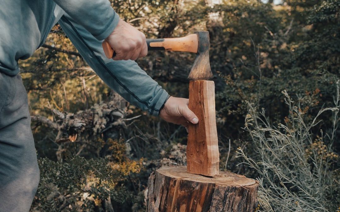 Найкращі інструменти для обрізки дерев: вибір та використання